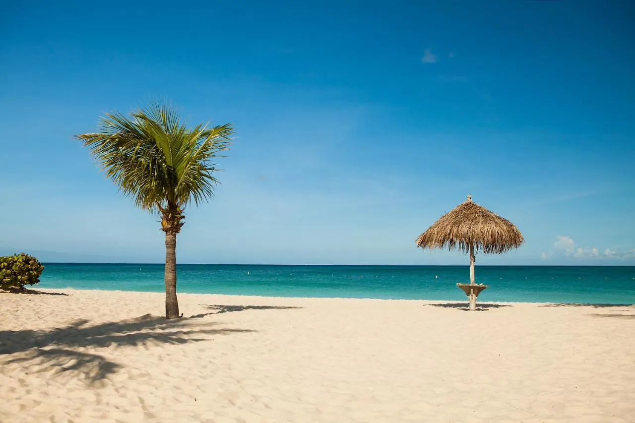 Magnificent 2 Bedroom Corner Condo With The View Oranjestad 0*,  Aruba